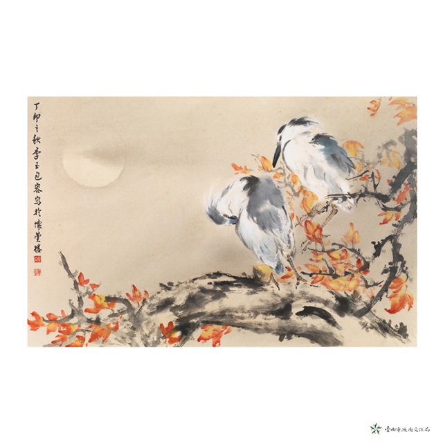 棲的圖片