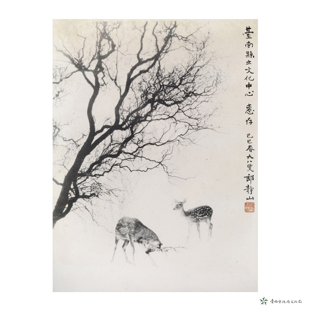 鹿苑長春的圖片