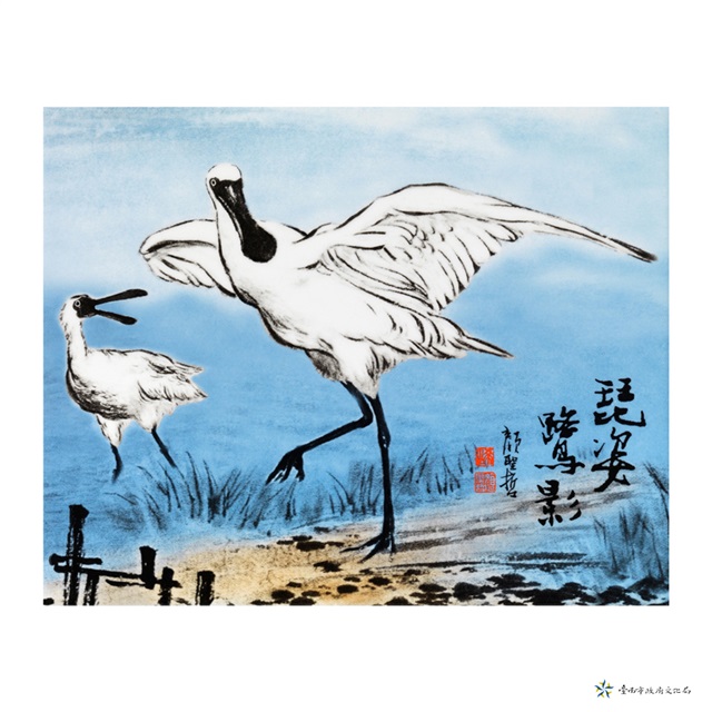 琵姿鷺影的圖片