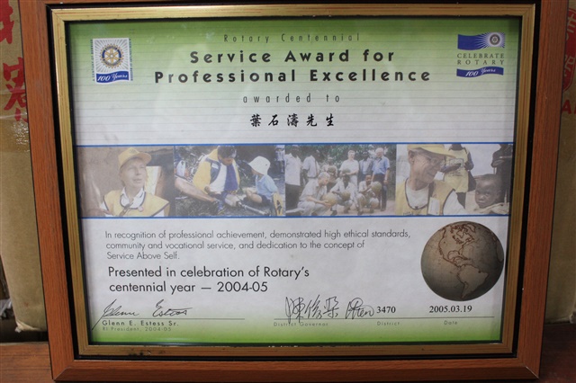 Service award for professional excellence