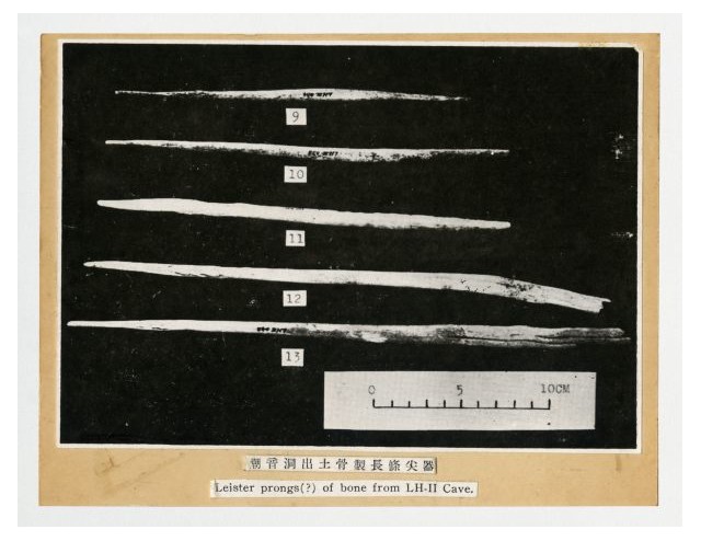 潮音洞出土骨製長條尖器圖	 	