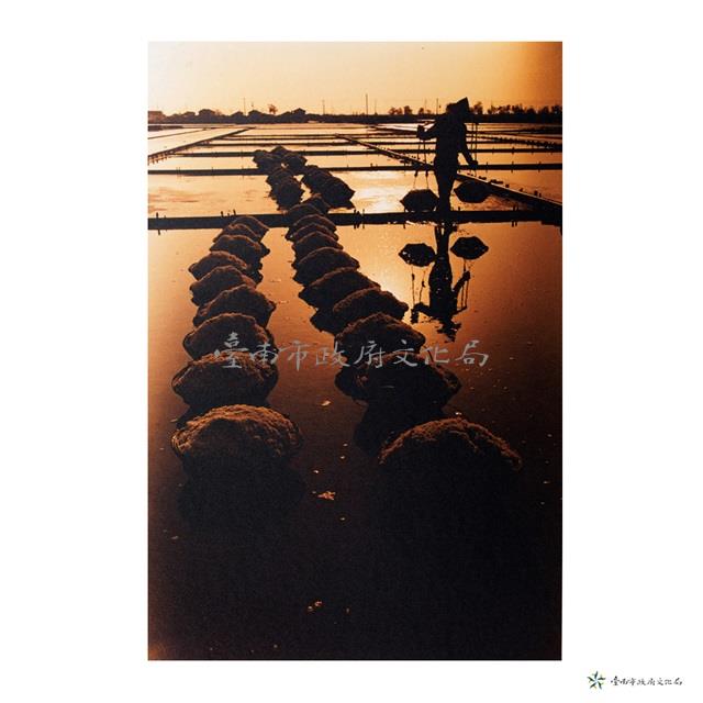 七股鄉/鹽田風光藏品圖，第1張