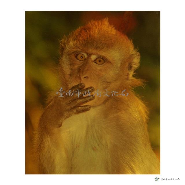 猿之態(非禮勿言)藏品圖，第1張