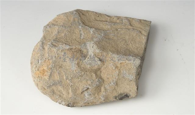 牛稠子文化打製斧鋤形石器藏品圖，第1張