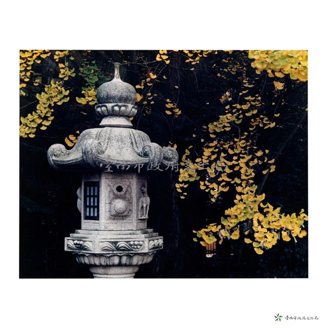 神燈藏品圖，第1張