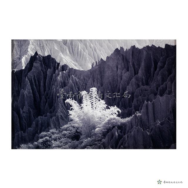 月世界藏品圖，第1張