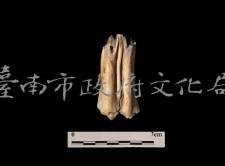 鹿齒  清藏品圖，第1張