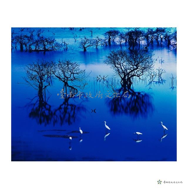 紅樹林的悲歌藏品圖，第1張