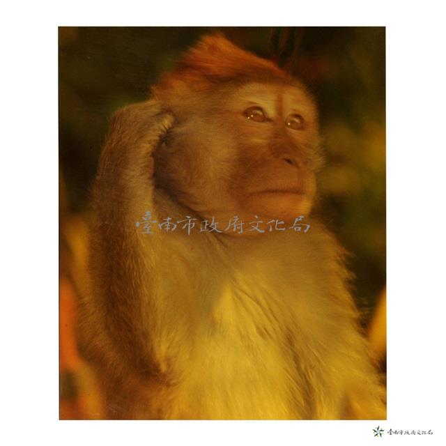 猿之態(非禮勿聽)藏品圖，第1張