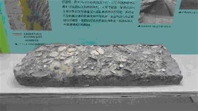 貝類塚藏品圖，第1張
