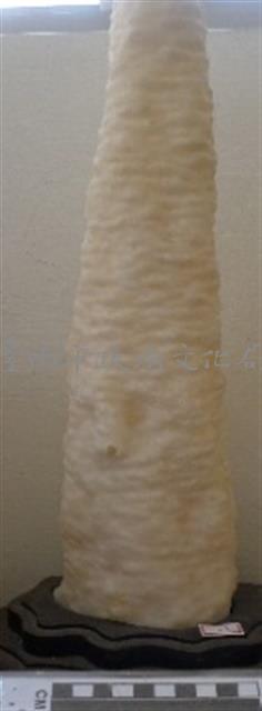 鐘乳石柱藏品圖，第1張