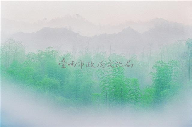 新綠藏品圖，第1張