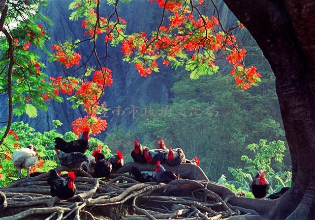 小憩藏品圖，第1張