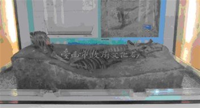 馬遺骸藏品圖，第1張