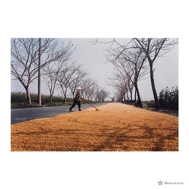 官田鄉/勤藏品圖，第1張