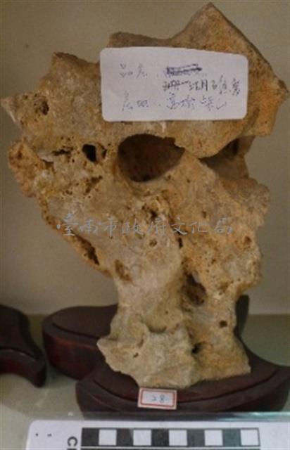 珊瑚礁岩藏品圖，第1張