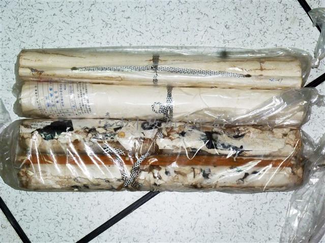 杜少陵詩二首藏品圖，第1張