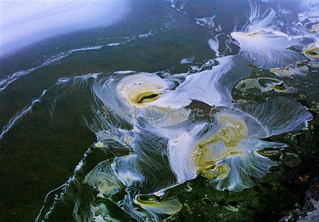 歡樂滿人間藏品圖，第1張