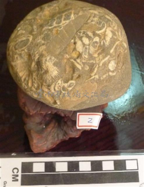 圖案石藏品圖，第1張