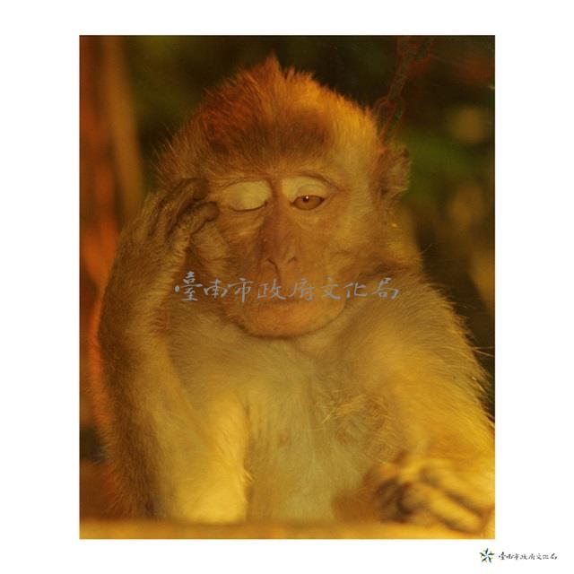 猿之態(非禮勿視)藏品圖，第1張