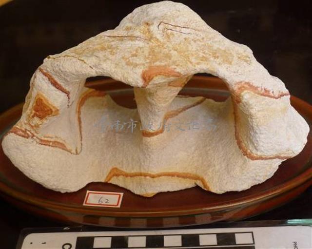 礦石藏品圖，第1張