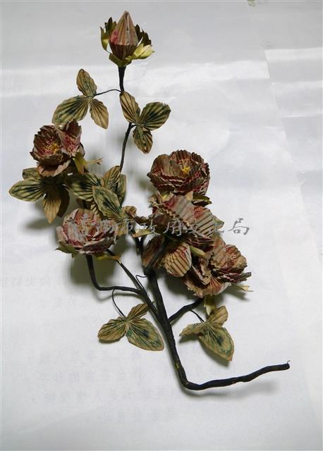 銀票花(樹枝)藏品圖，第1張