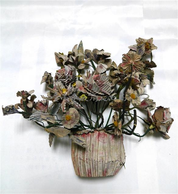 銀票花(盆花)藏品圖，第1張