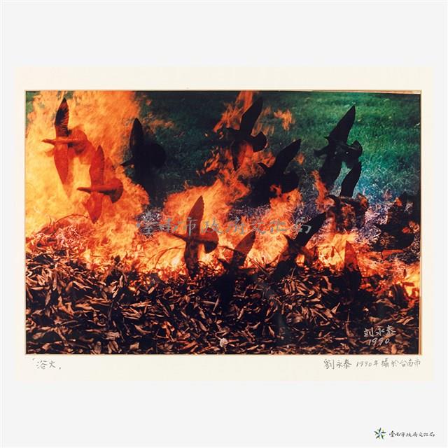 浴火藏品圖，第2張