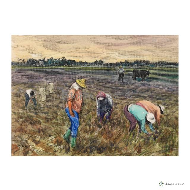 晨藏品圖，第1張