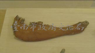 鹿上顎（齒3顆）藏品圖，第2張