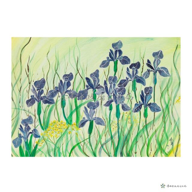 鳶尾花藏品圖，第1張