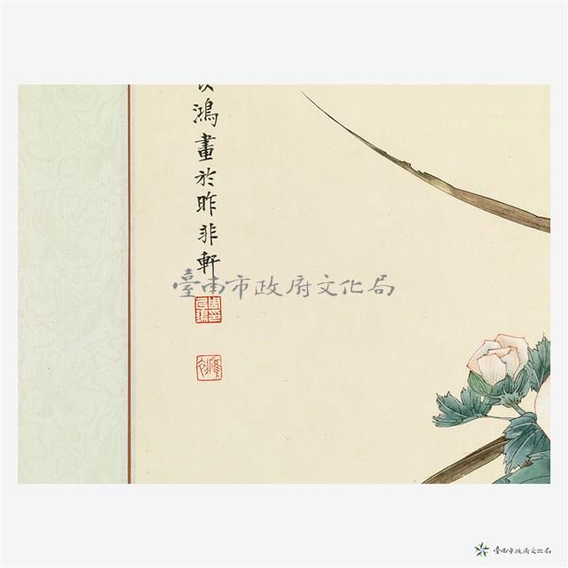 玫瑰藏品圖，第4張