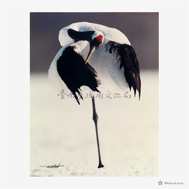 丹頂鶴(二)藏品圖，第2張