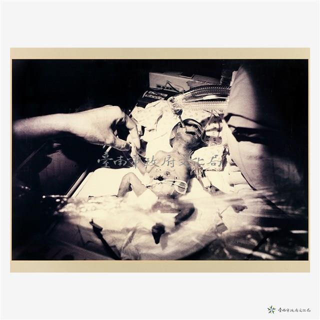 兒子藏品圖，第2張