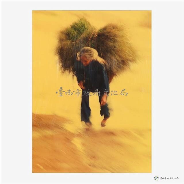 苦力藏品圖，第2張