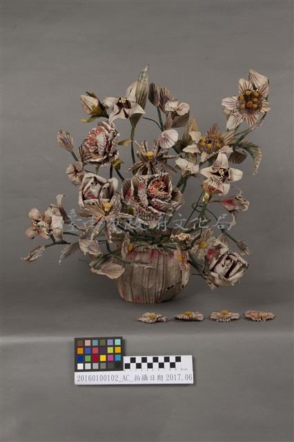 銀票花(盆花)藏品圖，第2張