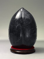 種子系列的圖片