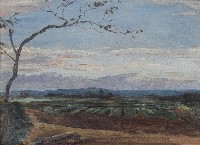 彩霞下的菜圃藏品圖，第1張