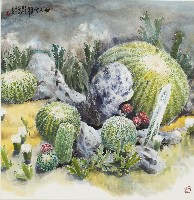 仙人掌的圖片