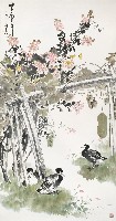 紫薇花開的圖片