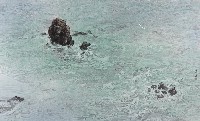 潮音的圖片