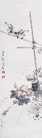 灰雀牽牛花的圖片