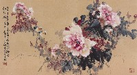 富貴花的圖片