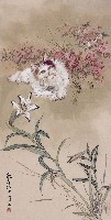 花與貓的圖片