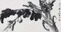 芭蕉的圖片