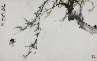 柳蟬的圖片