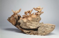 親情的圖片