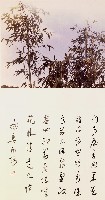種竹的圖片