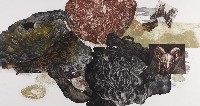 人間幾何#8的圖片