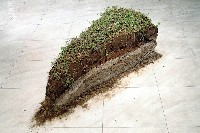 蛋糕藏品圖，第1張